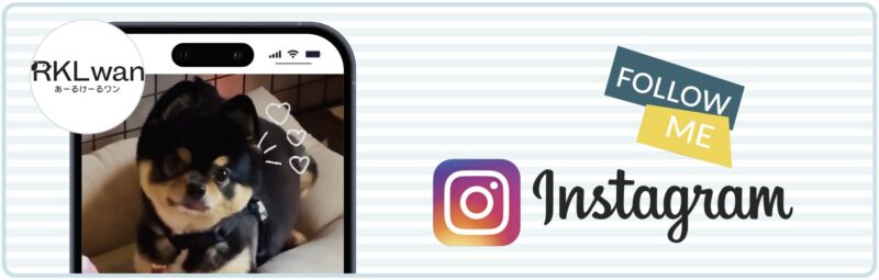Instagramをフォローする