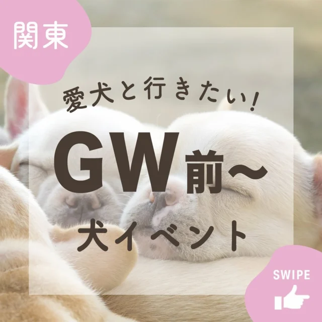 .
GW前〜のイベントをご紹介🐶♡
楽しい企画がたくさんありますので
ぜひお出かけの参考にしてみてください🐕🐩🐕‍🦺

※写真は公式サイトは公式インスタグラム、記載の出典先よりお借りしています
※注意事項やマナーを守ってご利用いただくようお願いします

ここでは飼い主さんのための愛犬との暮らしに役立つ情報をご紹介していきます！
インスタでしか見られない情報もあるので、ぜひフォローしてください！！🐶✨
@rkl_wan

#シニア犬#高齢犬#愛犬#高齢#動物病院#RKLwan#あーるけーるわん#あーるけーるワン#いぬすたぐらむ#犬のいる暮らし#愛犬のいる生活#犬とさんぽ#犬イベント#4月犬イベント#5月犬イベント