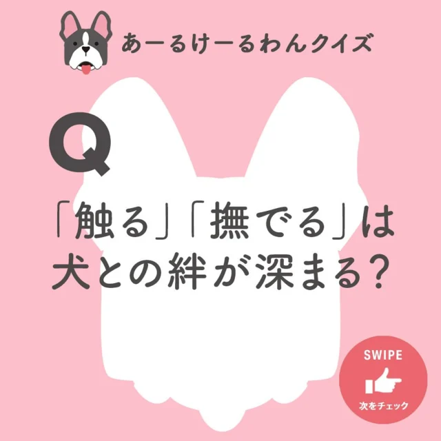 .
愛犬の散歩にまつわるクイズ！
今日から役に立つ情報を発信していきます！

🐕あーるけーるワンクイズ🐕
Q.「触る」「撫でる」は犬との絆が深まる？ 

正解は・・・
A.飼っているワンちゃんの体を触ったり撫でる行為は、犬との関係性に大きく影響します。というのも、犬は撫でられることにより、愛情や安心感が得られリラックスできるのです。

ある調査では、「触る」「撫でる」といったスキンシップを通じて、「ペットとの絆ができていると感じる」と答えた人は約9割もいました。

また、実際にこうしたスキンシップを通じて、犬の行動や性格の変化が現れ、「犬が近くに寄ってくるようになった」と、絆ができていることを飼い主は体感しています。

結論：「触る」「撫でる」行為は、ワンちゃんとの絆を深めます！

————————————
「あーるけーるワン」は、ワンちゃんのケア用品ブランドです。
愛犬にはいつまでも元気でいてほしいですし、リラックスできる時間を過ごしてほしいですよね。

飼い主さんのための愛犬との暮らしに役立つ情報をインスタやブログでご紹介していきます！
ぜひチェックしてください🐕🐩🫶

https://wan.cuartounited.com/

@rkl_wan 

#シニア犬　#高齢犬　#愛犬　#高齢
#動物病院　
#RKLwan 
#あーるけーるわん
#あーるけーるワン
#いぬすたぐらむ　
#ペットのいる暮らし
#愛犬のいる生活
#犬とさんぽ